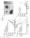 Fig. 09 - COMPOSITON BASED ON BIOCOMPATIBLE ANIONIC POLYMER FOR DRUG DELIVERY AND PREPARING METHOD THEREOF