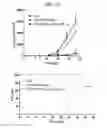 Fig. 10 - COMPOSITON BASED ON BIOCOMPATIBLE ANIONIC POLYMER FOR DRUG DELIVERY AND PREPARING METHOD THEREOF