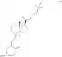 Fig. 23 - RNAi vitamin D conjugates