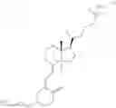 Fig. 25 - RNAi vitamin D conjugates