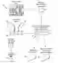 Fig. 01 - Composite grafts, systems, and methods
