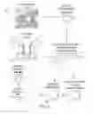 Fig. 03 - Composite grafts, systems, and methods