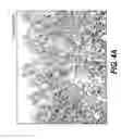 Fig. 05 - Elastase treatment of tissue matrices