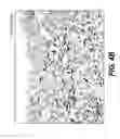 Fig. 06 - Elastase treatment of tissue matrices