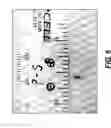 Fig. 08 - Elastase treatment of tissue matrices