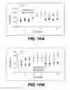 Fig. 12 - Elastase treatment of tissue matrices