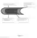 Fig. 06 - METHODS AND COMPOSITIONS FOR BLOOD VESSEL TISSUE REPAIR AND ENGINEERING