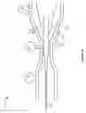 Fig. 51 - Suction device for surgical instruments