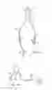 Fig. 03 - Implantable head located radiofrequency coupled neurostimulation system for head pain