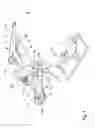 Fig. 02 - Gymnastic machine