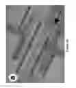 Fig. 03 - Two-phase electroextraction from moving phases