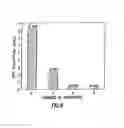 Fig. 08 - Polyelectrolyte Multilayer Films for Gas Separation and Purification