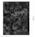 Fig. 03 - PROCESSES USING MOLECULAR SIEVE SSZ-102