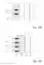 Fig. 32 - Droplet manipulation device