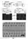 Fig. 03 - PARALLELIZED SAMPLE HANDLING