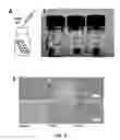 Fig. 11 - PARALLELIZED SAMPLE HANDLING