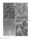 Fig. 08 - Fluorinated pickering emulsion