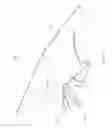 Fig. 13 - DEFLECTOR FOR A BROADCAST SPREADER