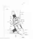 Fig. 01 - Cutting edge position adjustment mechanism and cutting edge-replaceable cutting tool