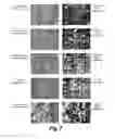 Fig. 08 - Method for Manipulating Microstructure and Grain Size in Laser Three-Dimensional Additive Manufacturing