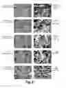 Fig. 09 - Method for Manipulating Microstructure and Grain Size in Laser Three-Dimensional Additive Manufacturing