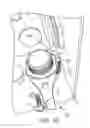 Fig. 18 - WRENCH