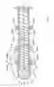 Fig. 03 - KNEADING AND GRANULATING APPARATUS