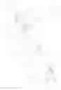 Fig. 08 - PROCESS AND APPARATUS FOR BORDERING A CORRUGATED PLASTIC PANEL AND PANEL THUS OBTAINED