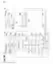 Fig. 04 - Methods for manufacturing a lens, lens manufacturing systems, and lenses