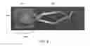Fig. 10 - Drapery adornment and securing mechanism