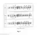 Fig. 07 - Image recording device and image recording method