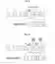 Fig. 09 - Printer having duplex printing function