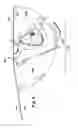 Fig. 05 - Greeting cards with suspended motion