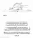 Fig. 04 - METHOD AND APPARATUS FOR RESURFACING CUTTING BOARDS