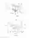 Fig. 06 - Inside mirror assembly of vehicle