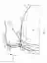 Fig. 10 - Foldable roof rack assembly for kayaks and the like