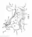 Fig. 04 - Passenger restraint for upright, straddle-type seating in an amusement park ride vehicle