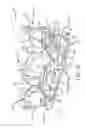 Fig. 10 - Passenger restraint for upright, straddle-type seating in an amusement park ride vehicle