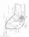 Fig. 03 - Vehicle seat
