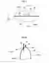 Fig. 08 - VEHICLE SIDE AIRBAG DEVICE