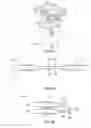 Fig. 06 - FOLDING BICYCLE