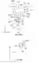 Fig. 18 - FOLDING BICYCLE