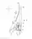 Fig. 09 - Straddle-type vehicle