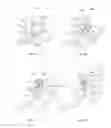 Fig. 06 - Variably expanding chain transmission