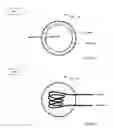 Fig. 04 - Superconductive Hypersonic Liquefaction Nosecone