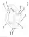 Fig. 09 - Davit