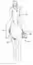 Fig. 01 - Mounting assist device and method