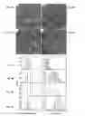 Fig. 08 - Colloidal semiconductor metal chalcogenide nanostructures