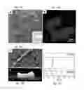 Fig. 14 - Colloidal semiconductor metal chalcogenide nanostructures