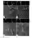 Fig. 16 - Colloidal semiconductor metal chalcogenide nanostructures